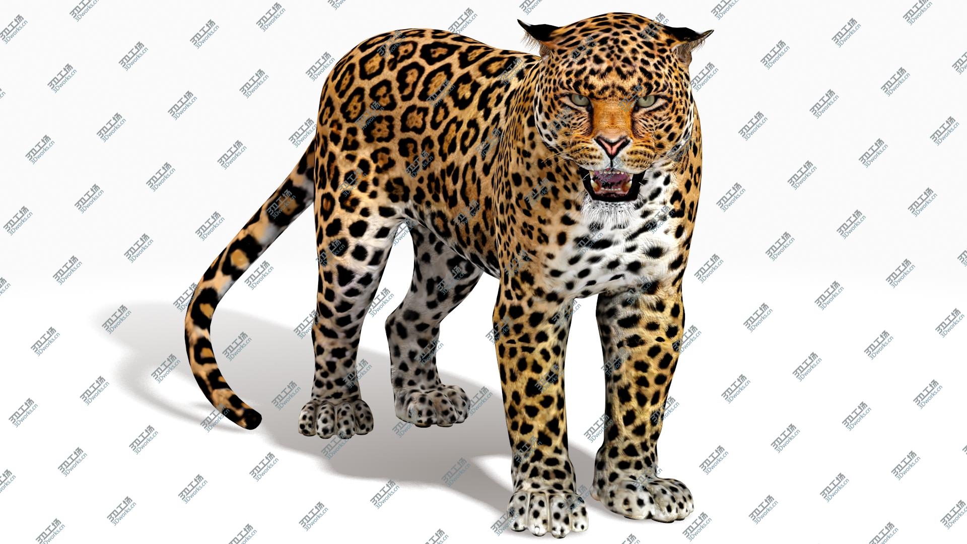 images/goods_img/202104092/Rigged J aguar 3D/2.jpg